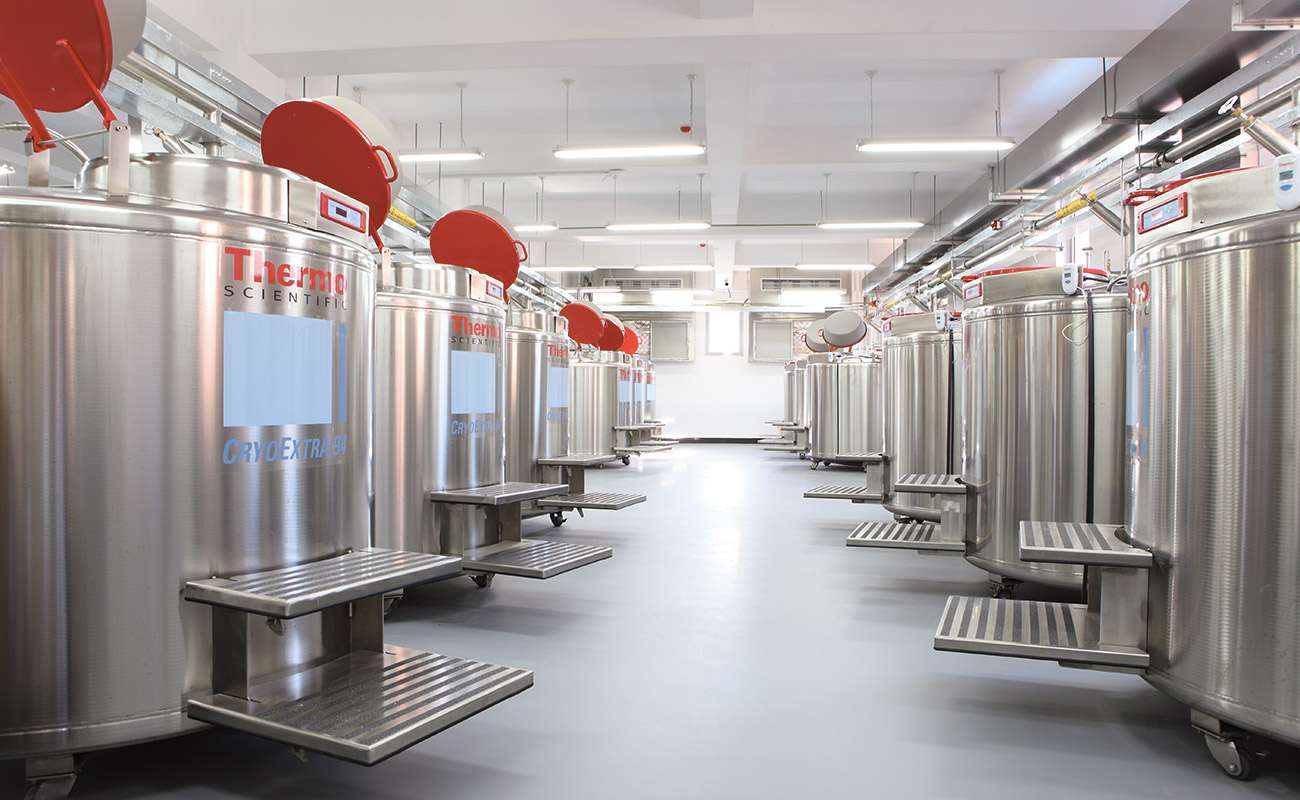 Revêtement en résine pour établissement médical